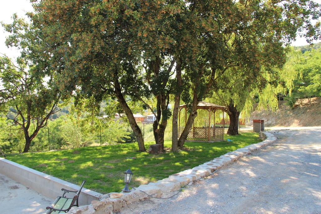 Domaine Plein Sud Otel Bruzac Dış mekan fotoğraf